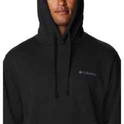 COLUMBIA Men's Viewmont II Sleeve Graphic Hoodie -Iron Stride Men Shop 2070709 001 alt4