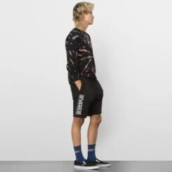 VANS Young Men's Sketchy Past Relaxed Fleece Shorts -Iron Stride Men Shop 2079488 001 alt2