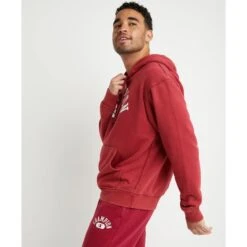 CHAMPION Men's Vintage Wash Varsity Hoodie 8 CHAMPION Men's Vintage Wash Varsity Hoodie -Iron Stride Men Shop 2081399 602 alt2