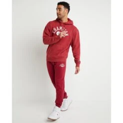 CHAMPION Men's Vintage Wash Varsity Hoodie 11 CHAMPION Men's Vintage Wash Varsity Hoodie -Iron Stride Men Shop 2081399 602 alt5