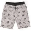 BURNSIDE Young Men's Printed Fleece Shorts